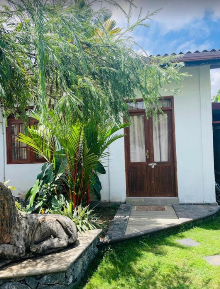 Ice Berg Apartment Dehiwala-Mount Lavinia Bagian luar foto